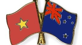 DTA help boost Vietnam-New Zealand trade ties  - ảnh 1
